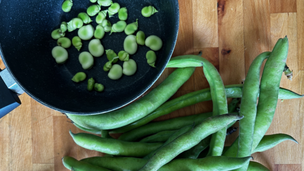 Fave Fresche: proprietà, consigli e utilizzo in Cucina Vegana