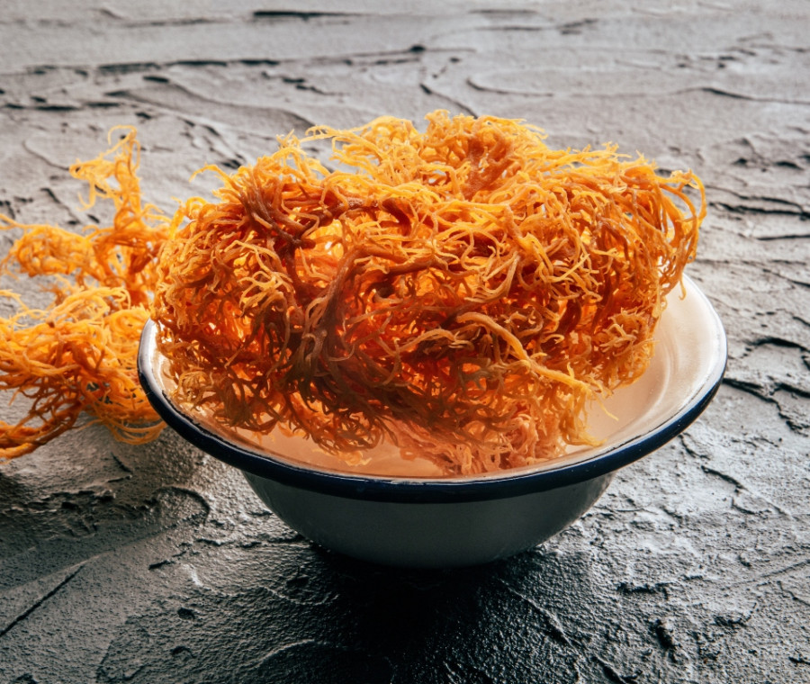 Carragenina kappa: cos'è e come si usa in cucina